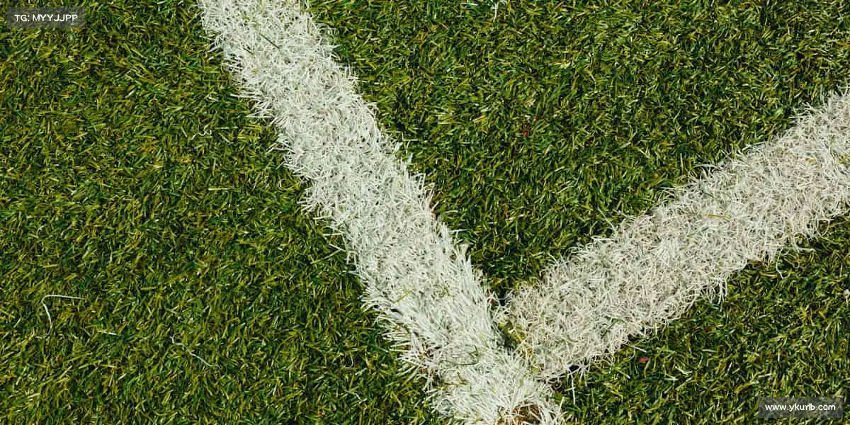 我们的核心竞争力